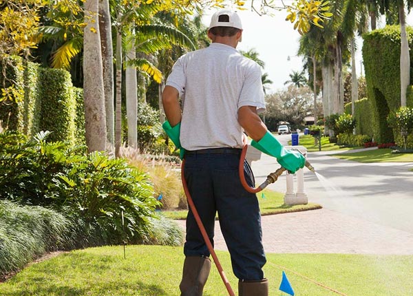 About Northwood IA Pest Control